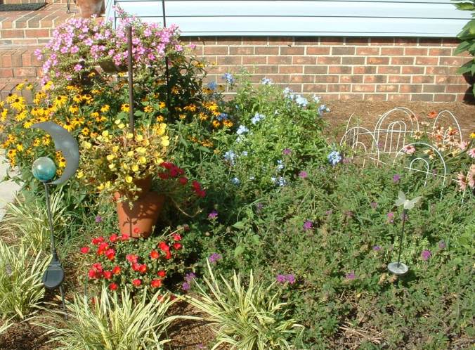 Back Bed with Plumbago