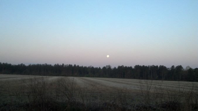 Setting Moon