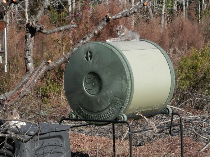 Peach Tree Pruning and Cat on Composter