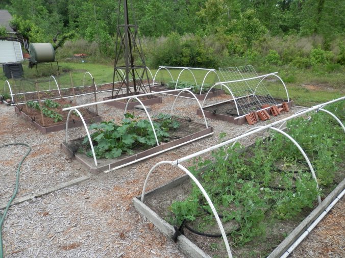 Garden Getting Going