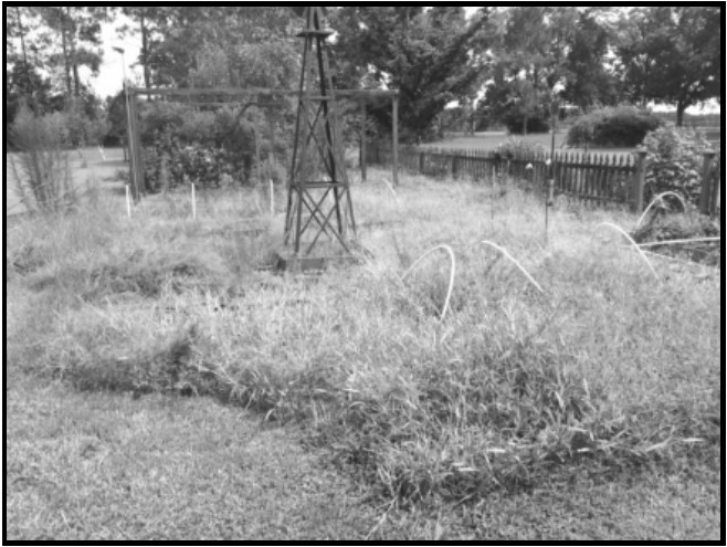 Break Up Fallow Ground